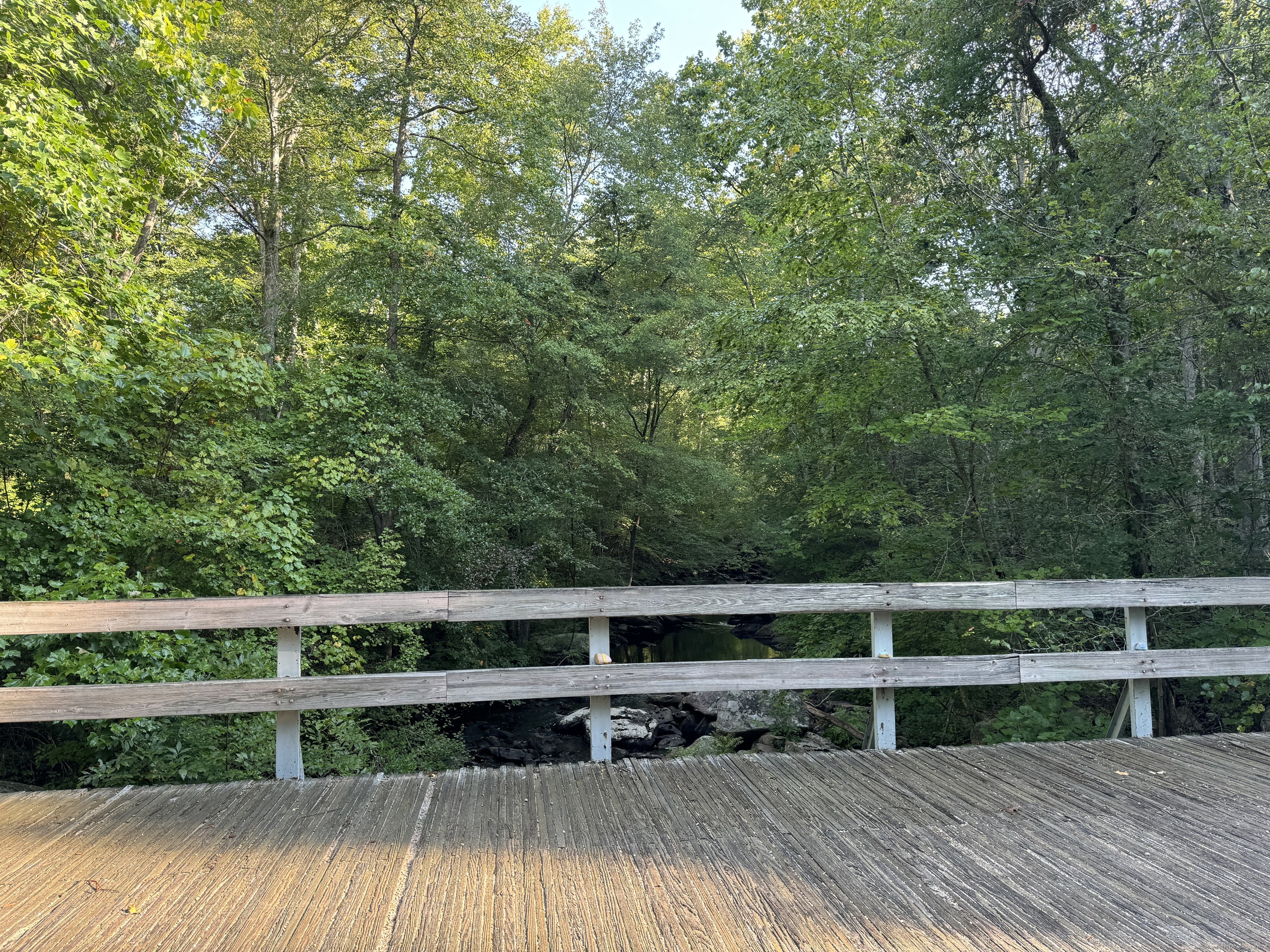 48a Ironworks Road Property Photo 3