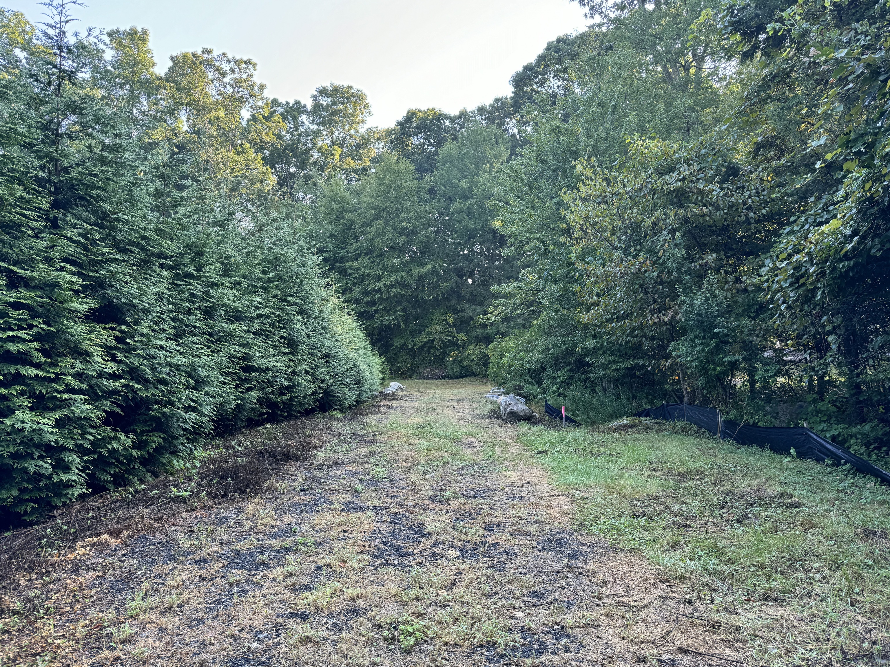 48a Ironworks Road Property Photo 6