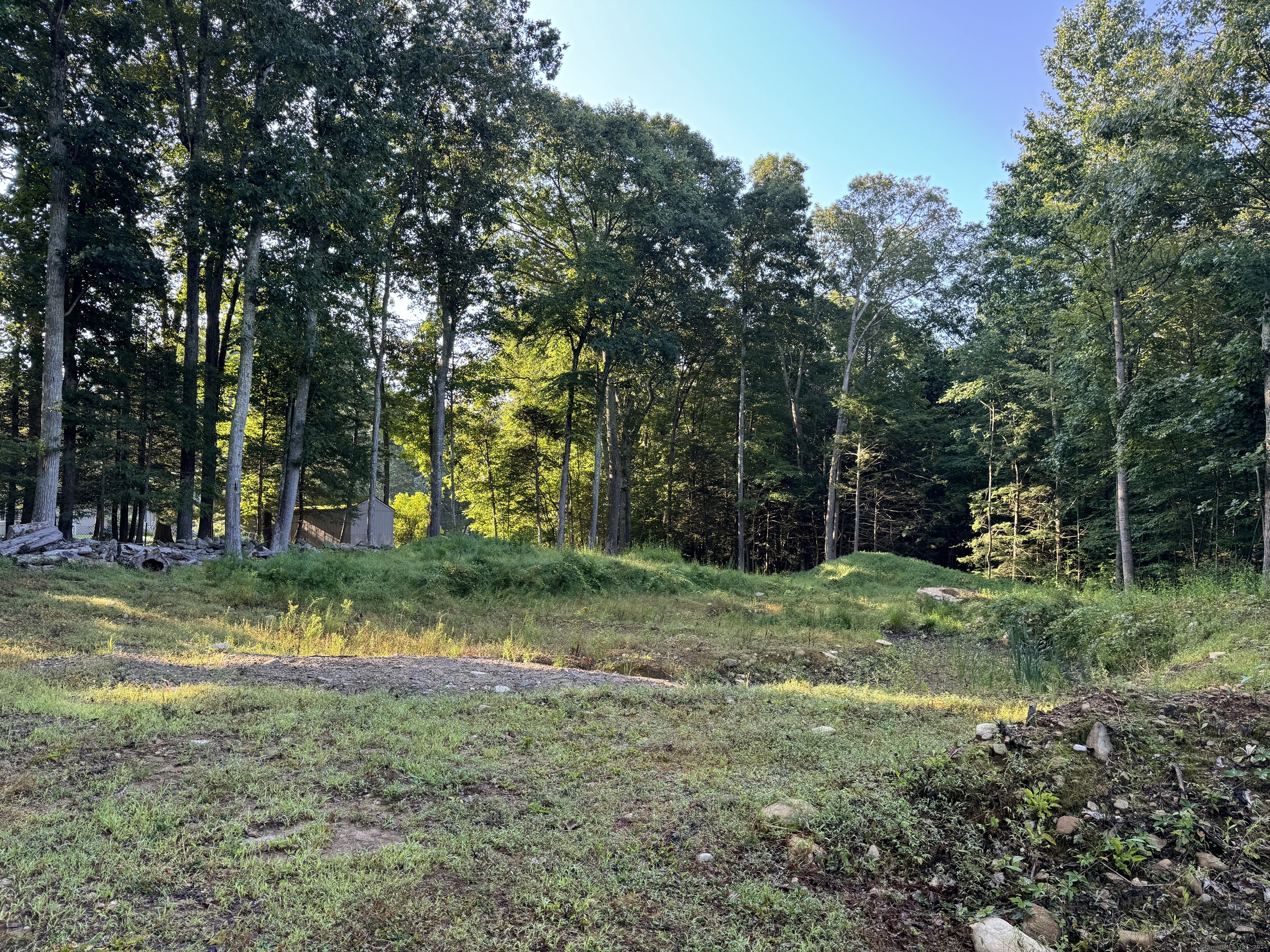 48a Ironworks Road Property Photo 7