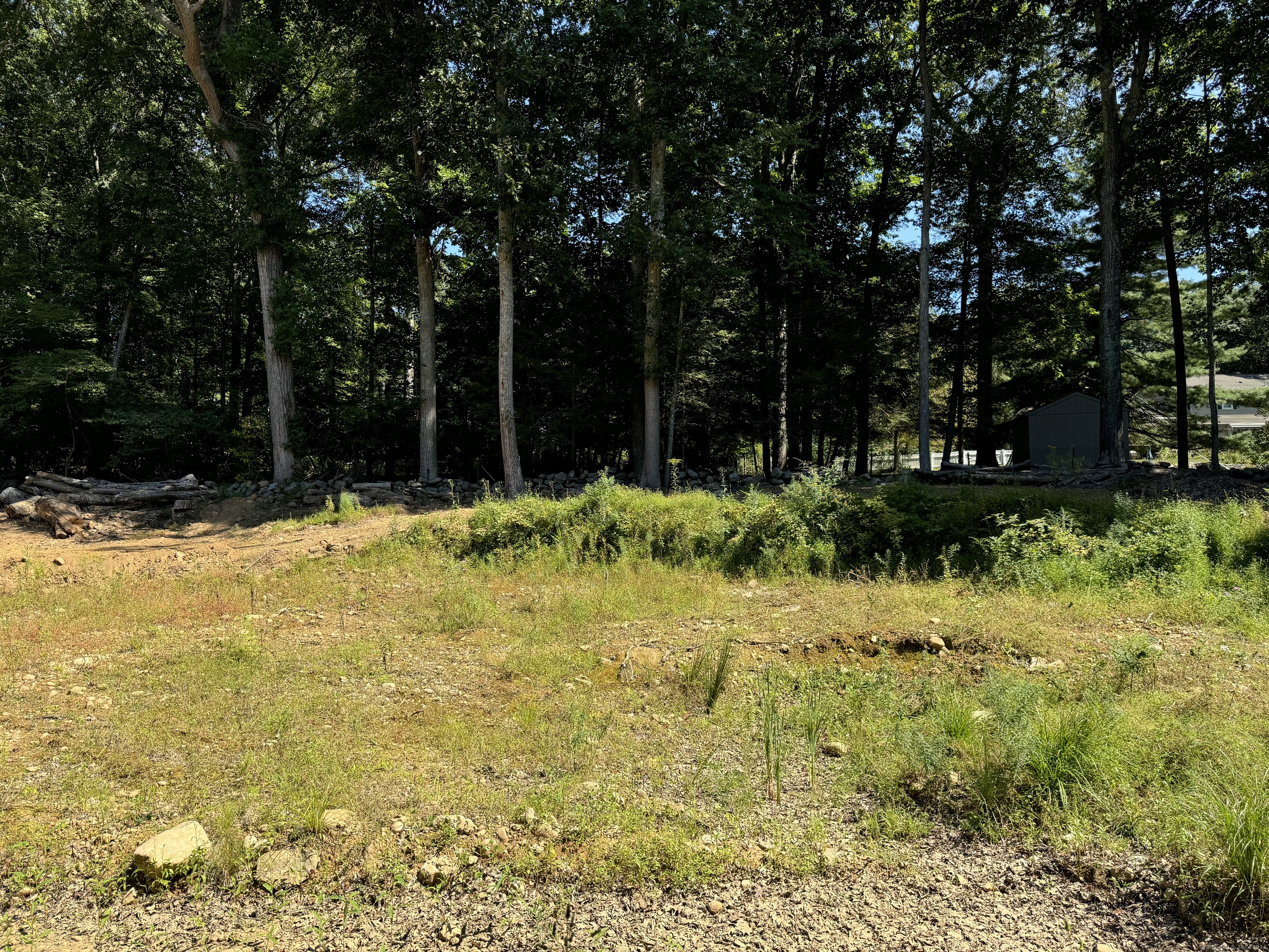 48a Ironworks Road Property Photo 10