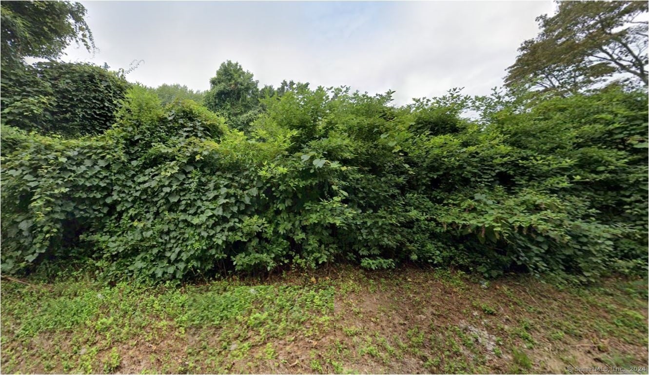 Cow Hill Road Property Photo 1