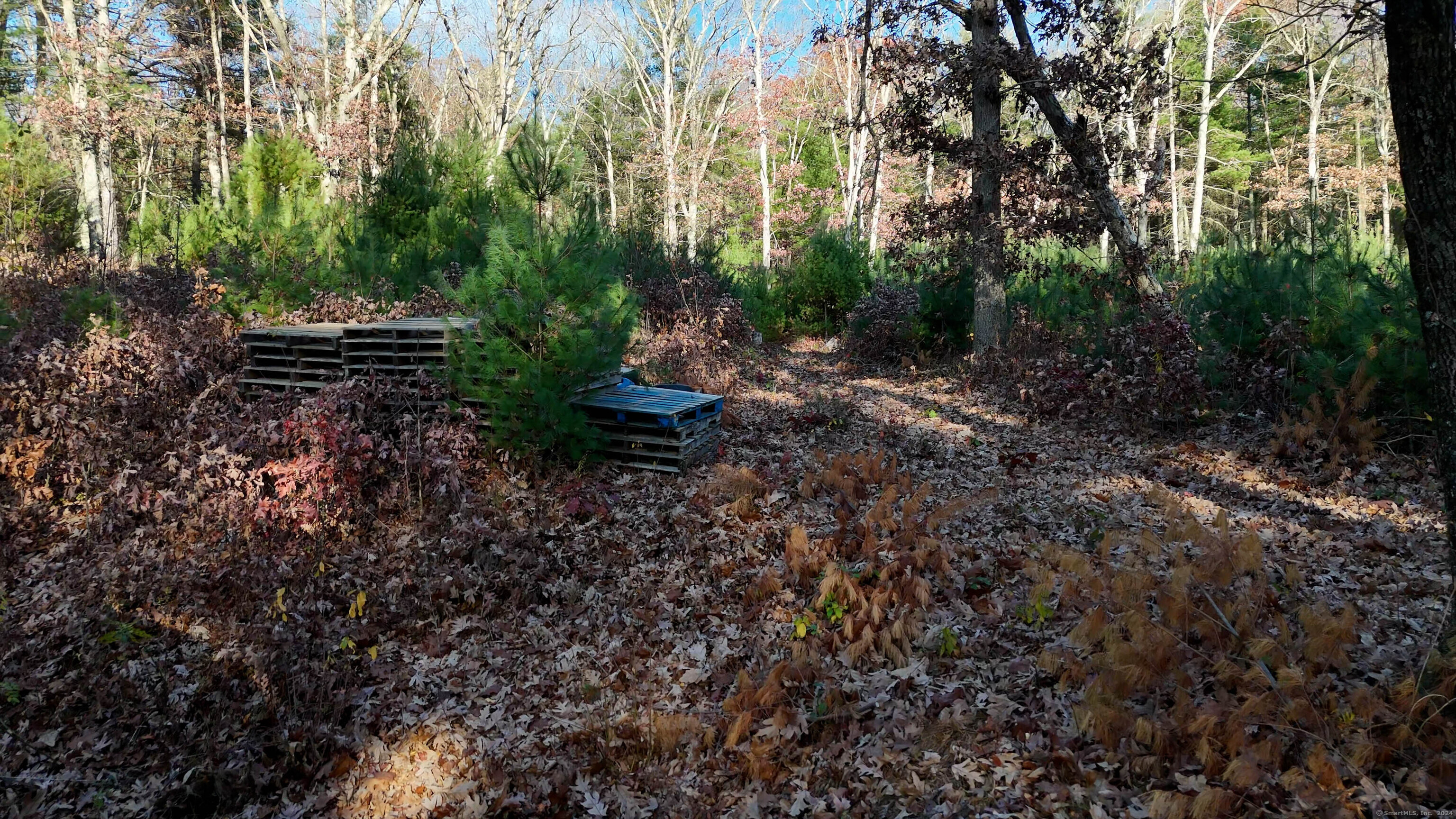 44 Putnam Pike Property Photo 23