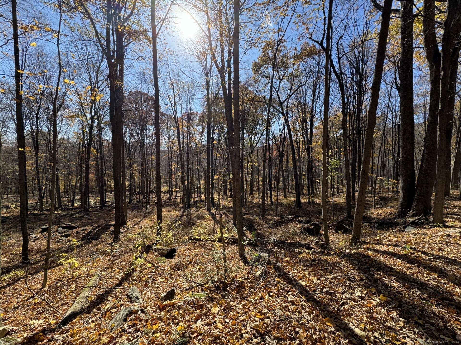 00 Upper Kent Hollow Road