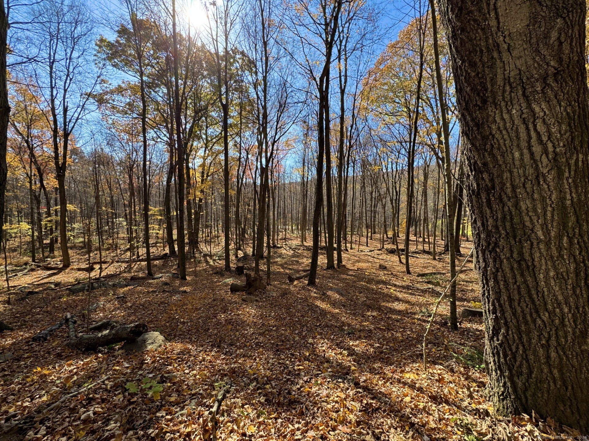 00 Upper Kent Hollow Road Property Photo 2