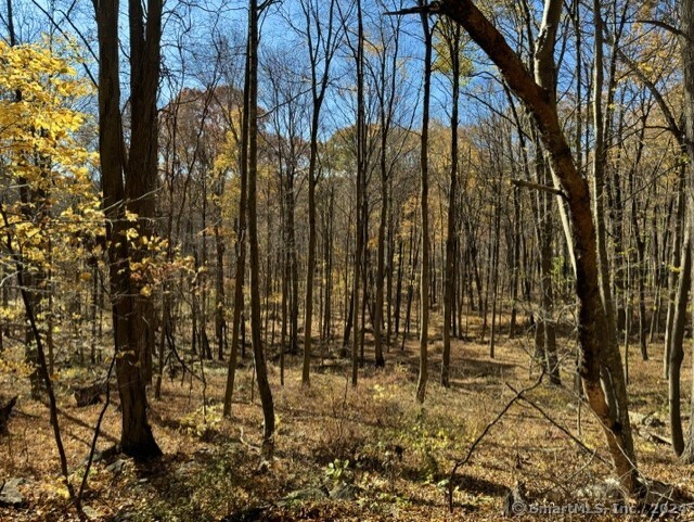 00 Upper Kent Hollow Road Property Photo 3