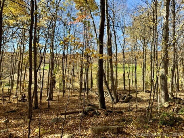 00 Upper Kent Hollow Road Property Photo 4