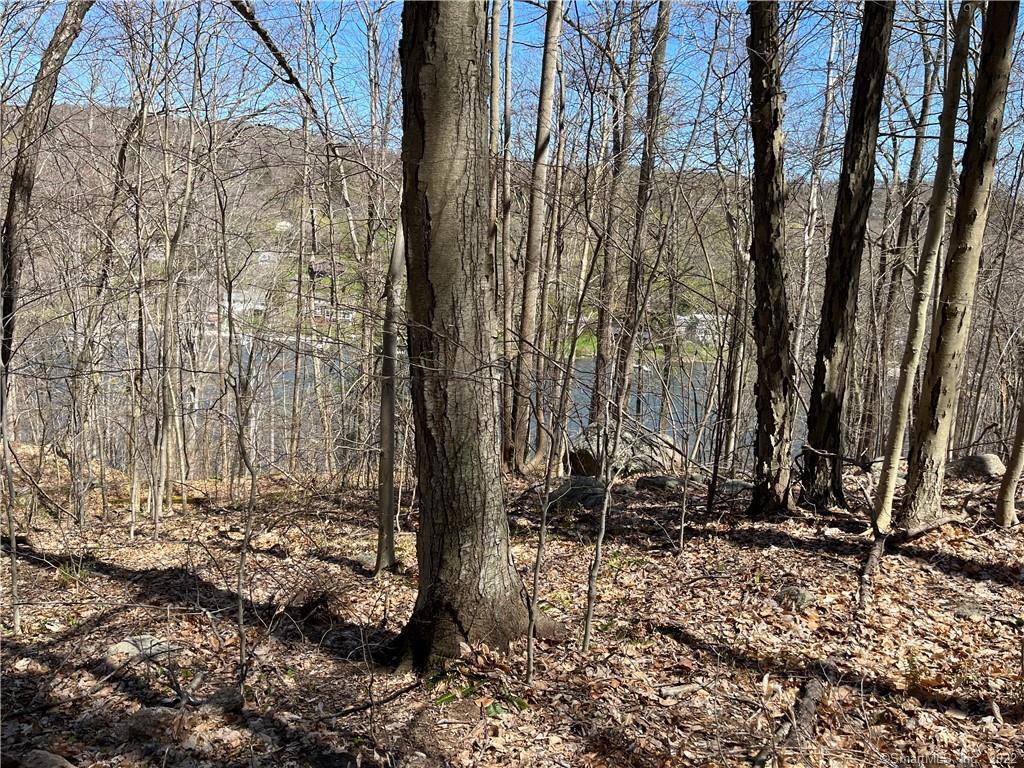 Wagon Wheel Road Property Photo 15