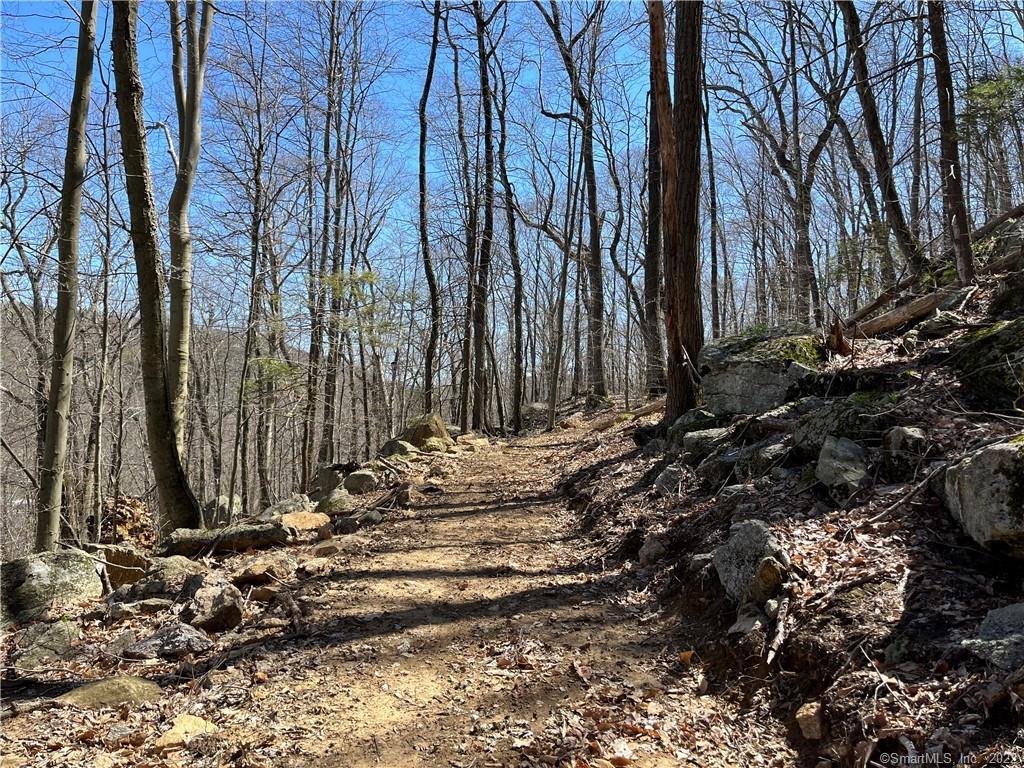 Wagon Wheel Road Property Photo 16