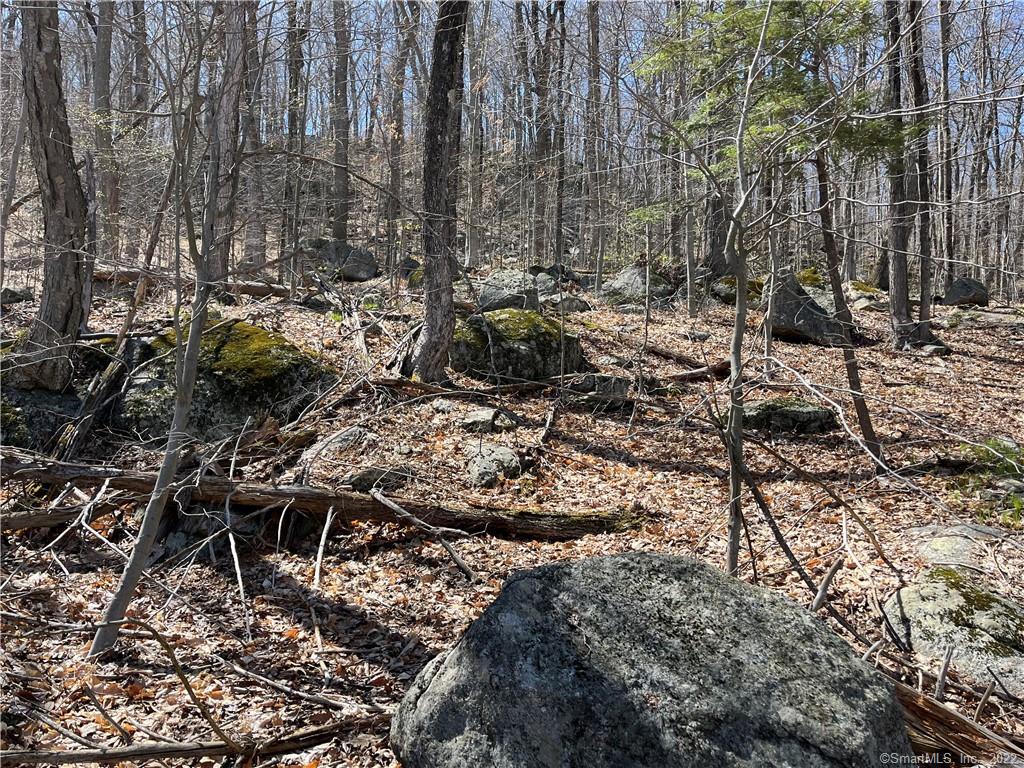 Wagon Wheel Road Property Photo 17