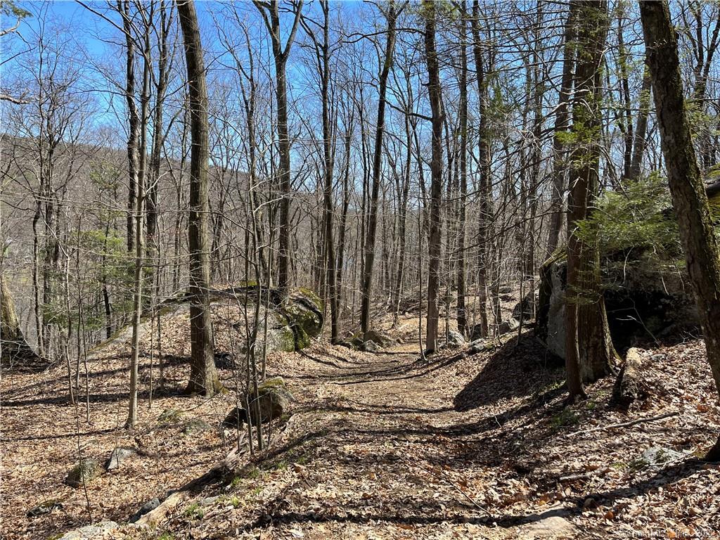 Wagon Wheel Road Property Photo 18