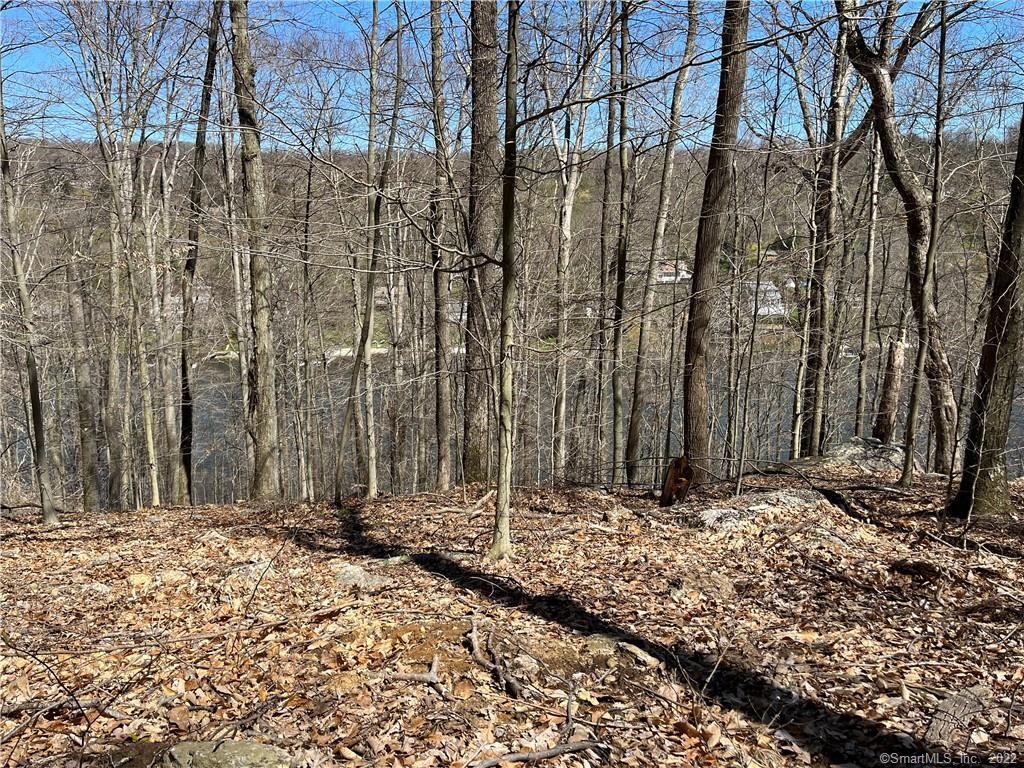 Wagon Wheel Road Property Photo 19