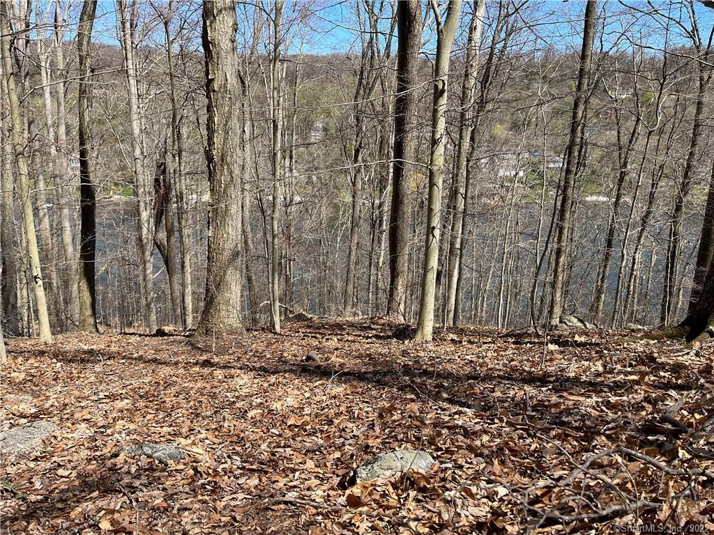 Wagon Wheel Road Property Photo 20