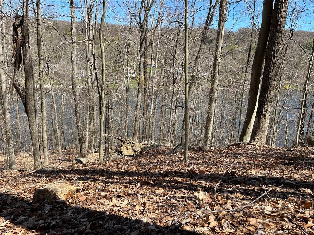 Wagon Wheel Road Property Photo 21
