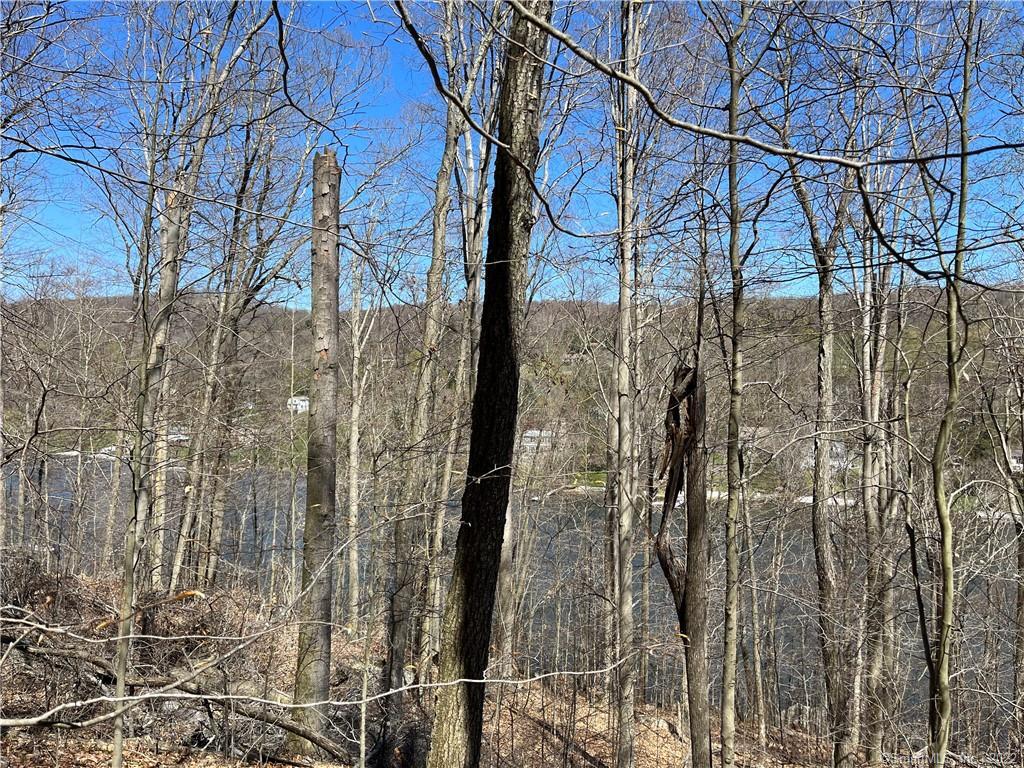 Wagon Wheel Road Property Photo 22