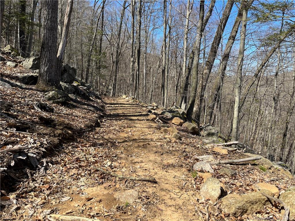 Wagon Wheel Road Property Photo 23
