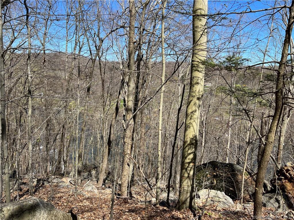 Wagon Wheel Road Property Photo 24