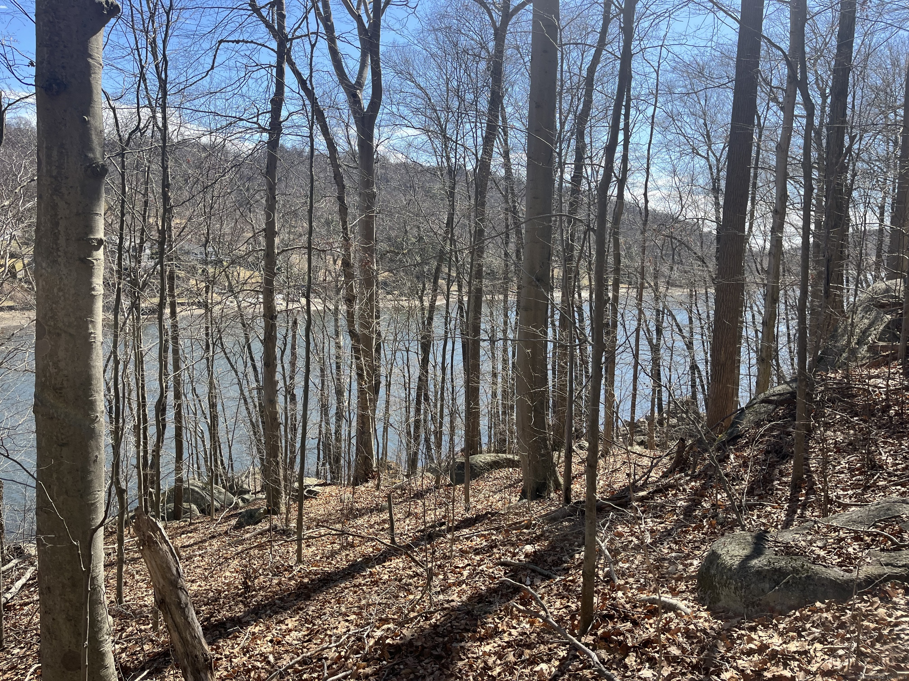Wagon Wheel Road Property Photo 26