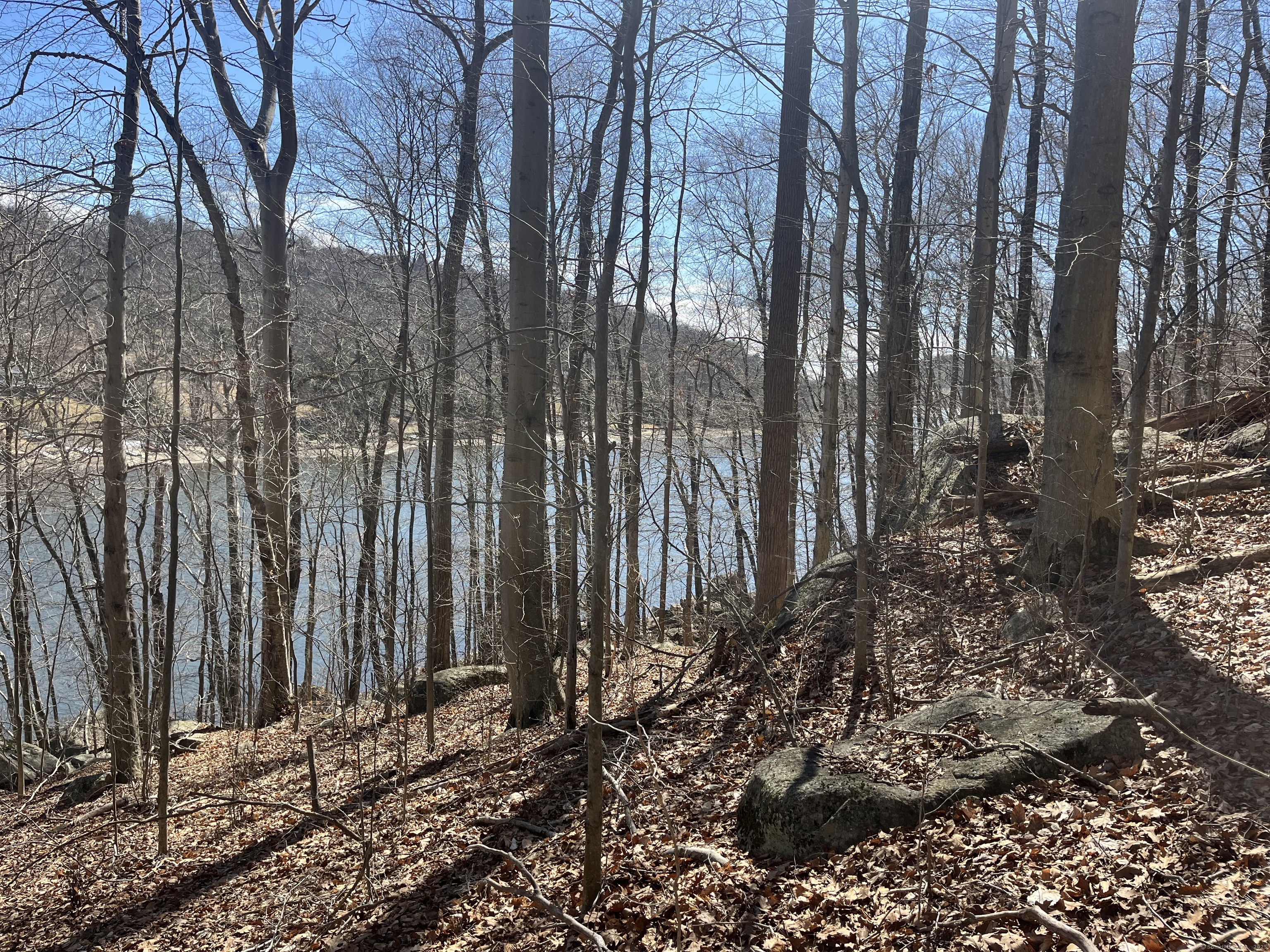 Wagon Wheel Road Property Photo 27