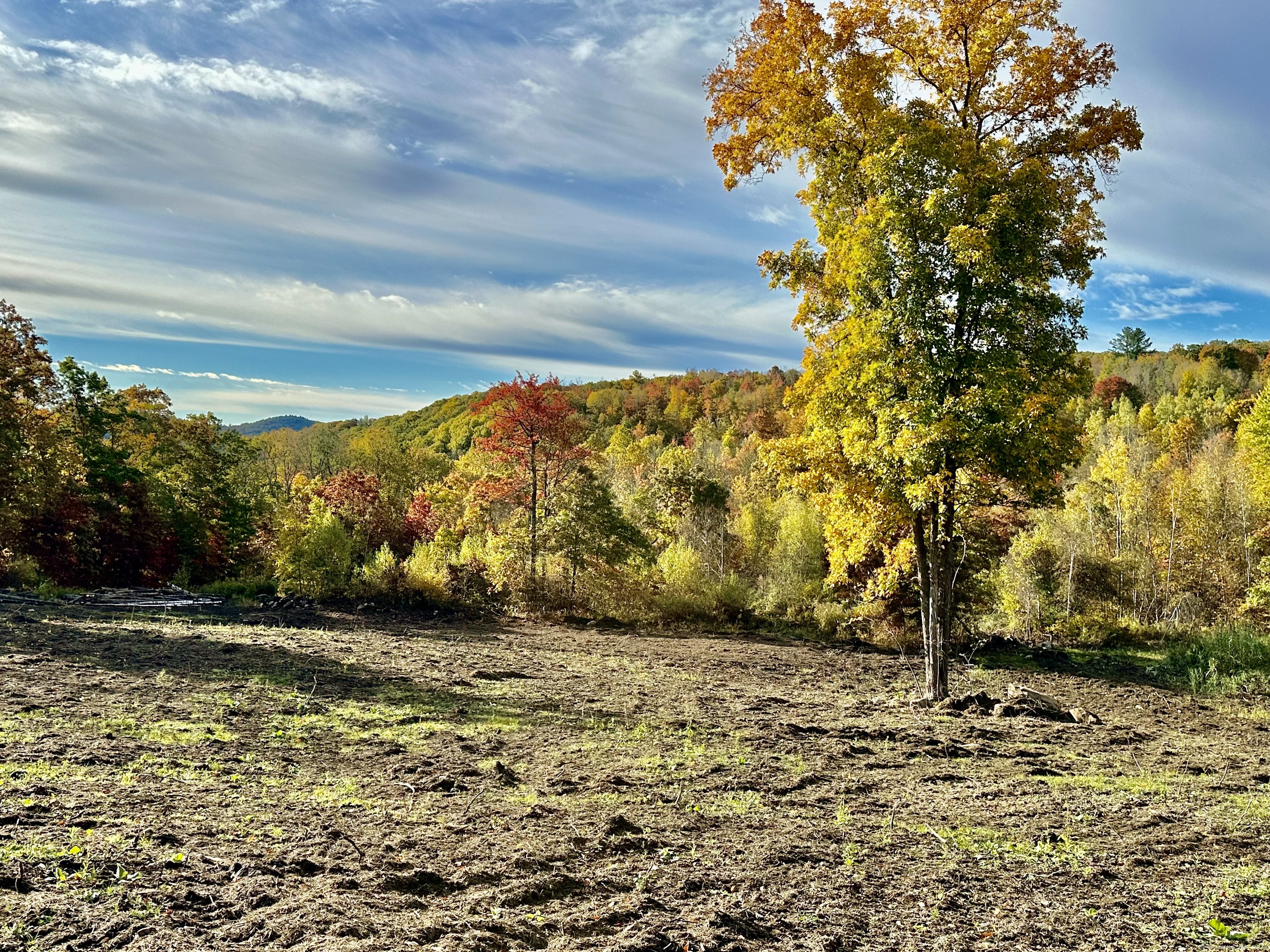 Swaller Hill Road Property Photo 12