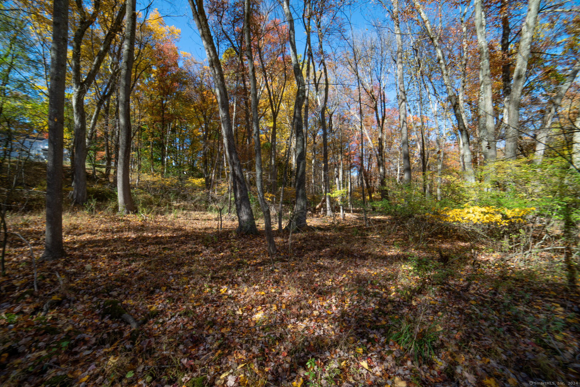 6 Fox Run Lane Property Photo 5