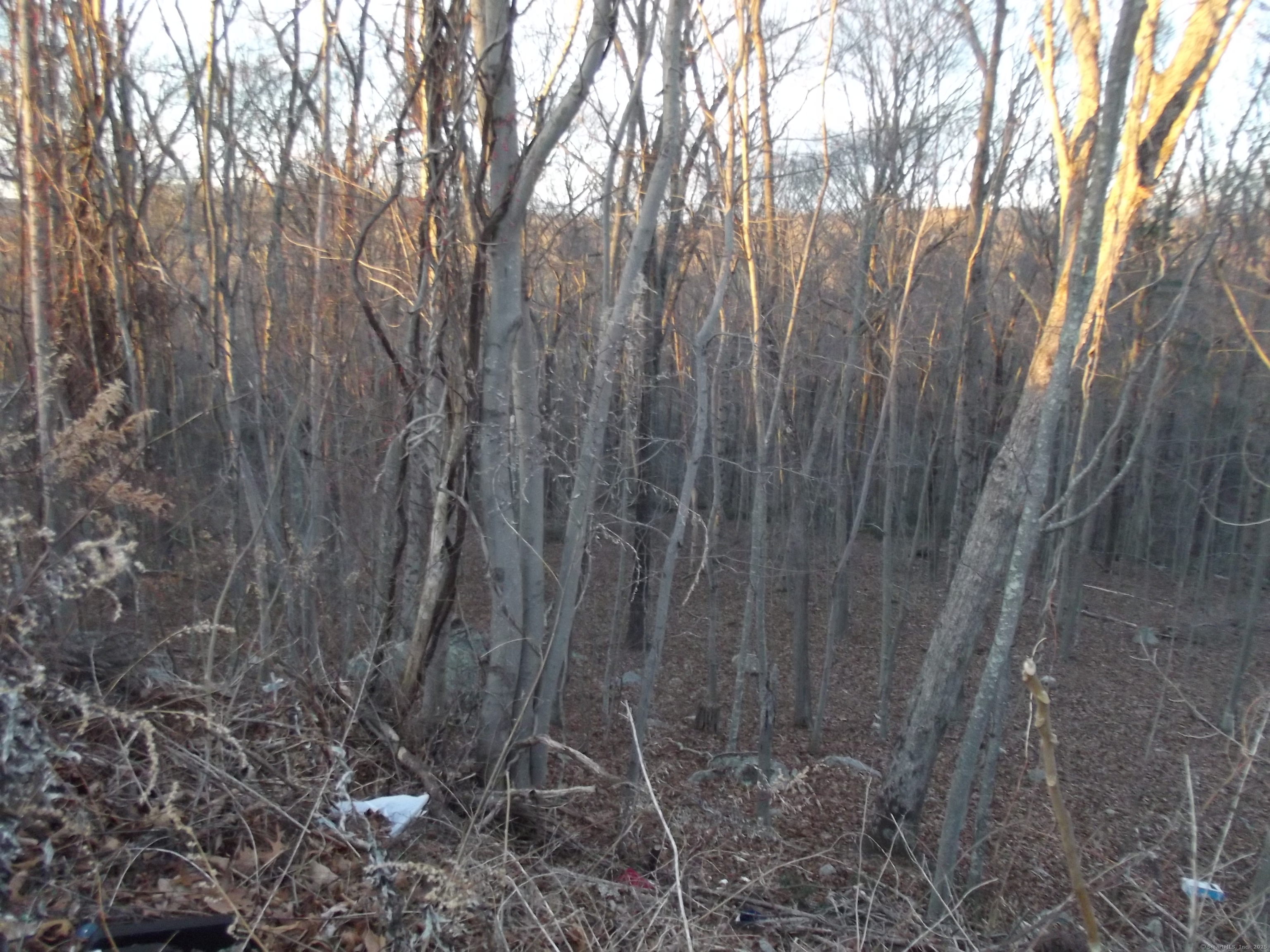 East Society Road Property Photo 1