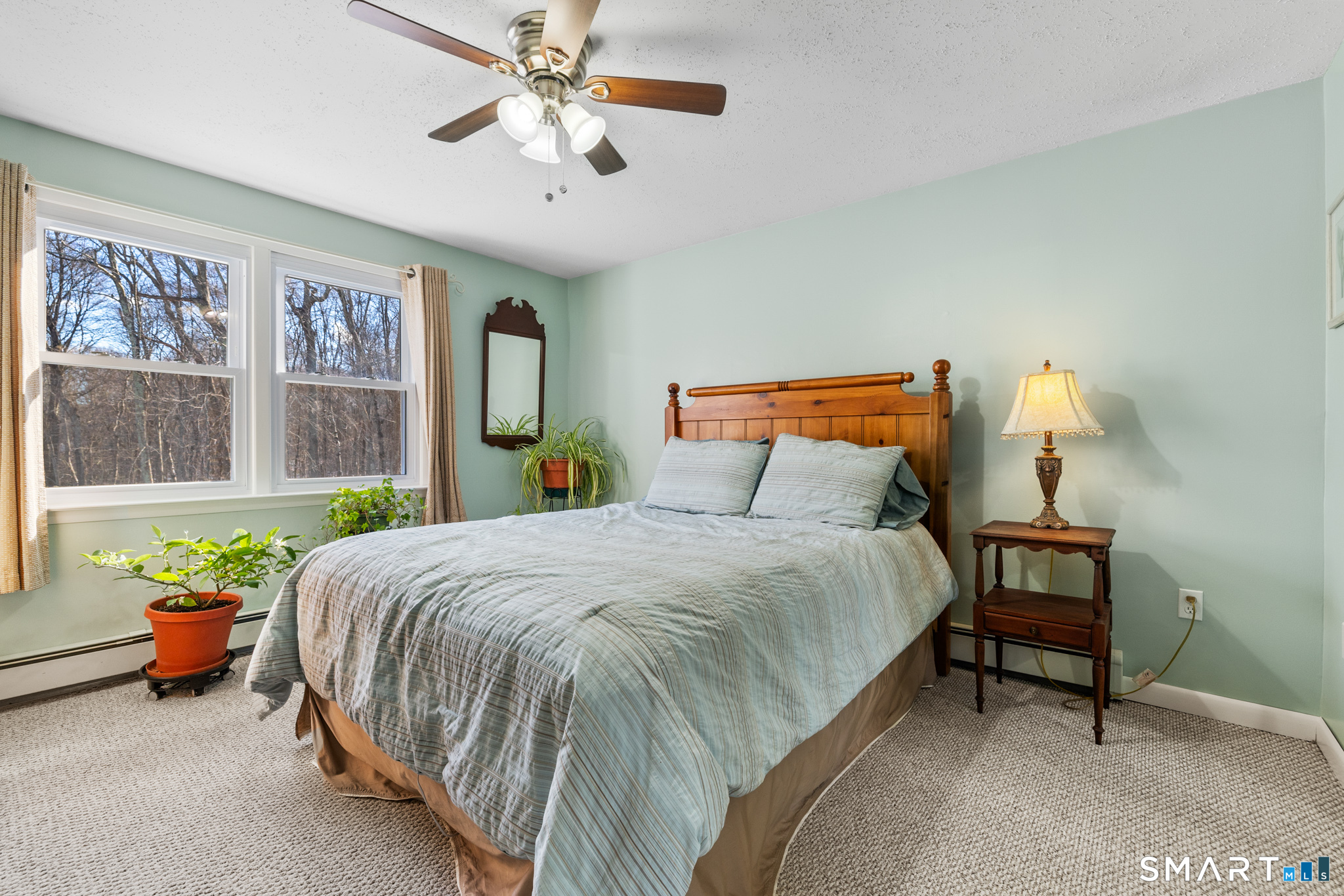 51 Williams Road Property Photo 24