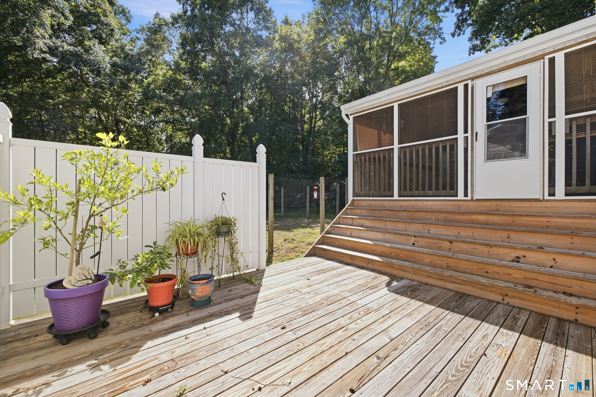 51 Williams Road Property Photo 38