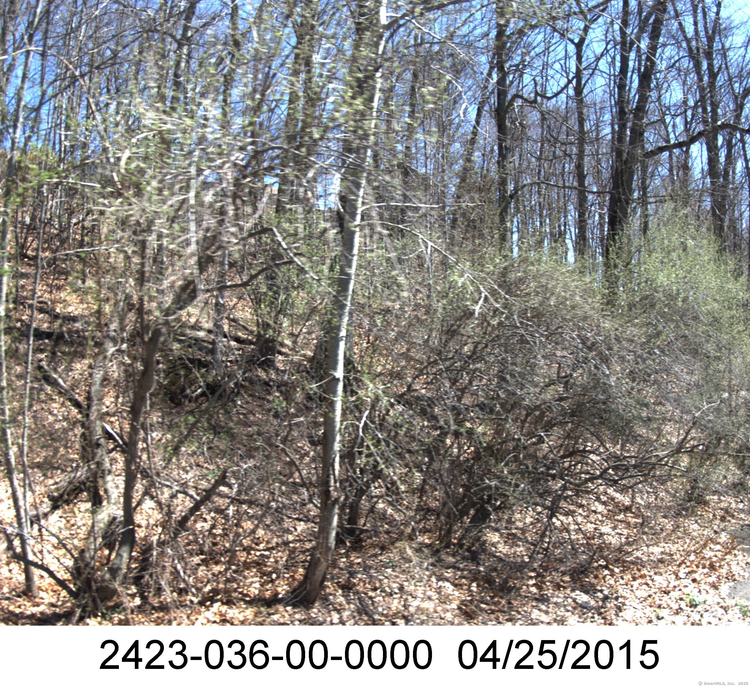 71 Dunbar Hill Road Property Photo 4
