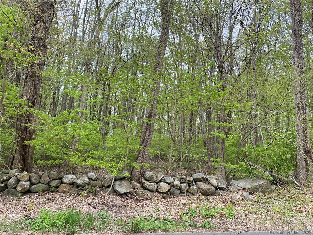 70 Brayman Hollow Road Property Photo 1