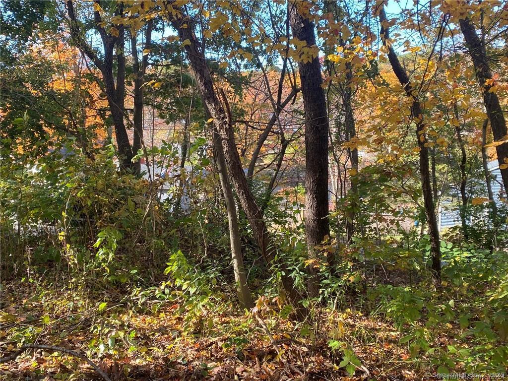 93-95 Eastview Road Property Photo 6