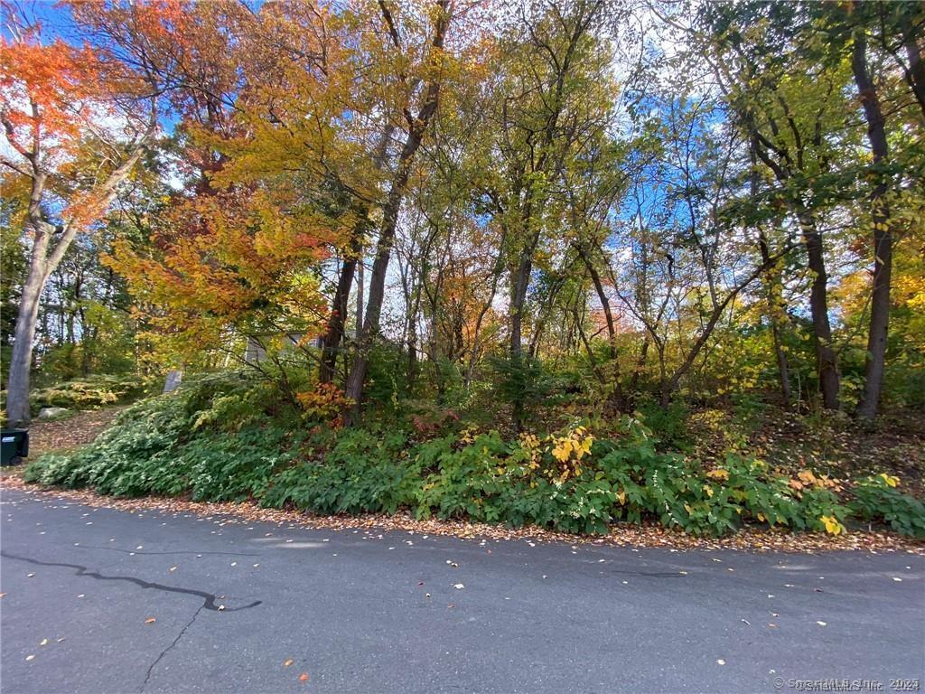 93-95 Eastview Road Property Photo 7