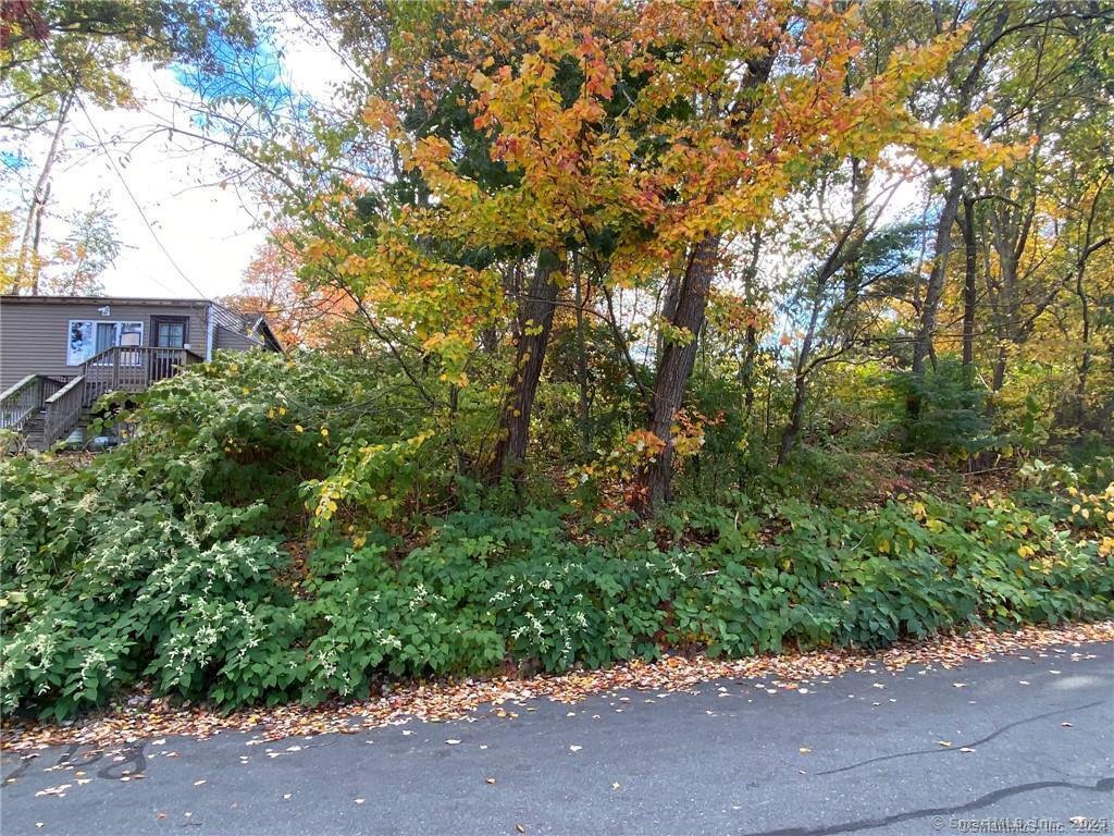 93-95 Eastview Road Property Photo 8