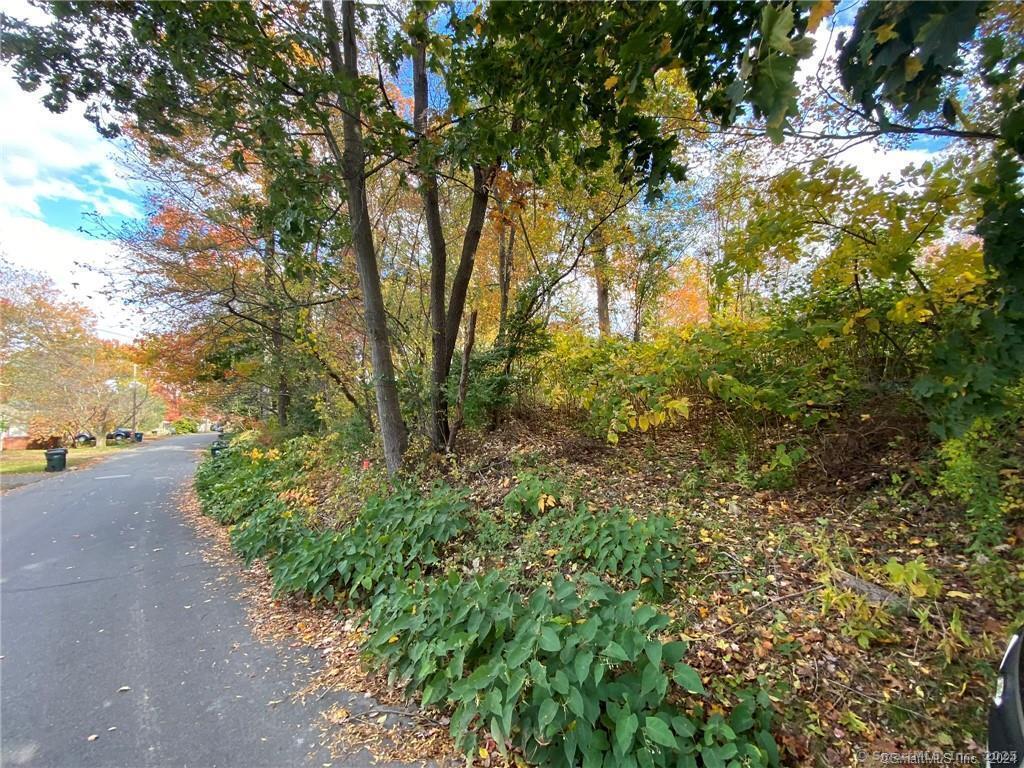 93-95 Eastview Road Property Photo 10