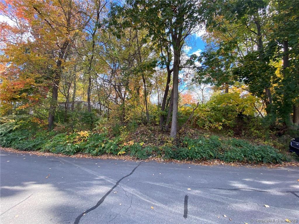 93-95 Eastview Road Property Photo 13