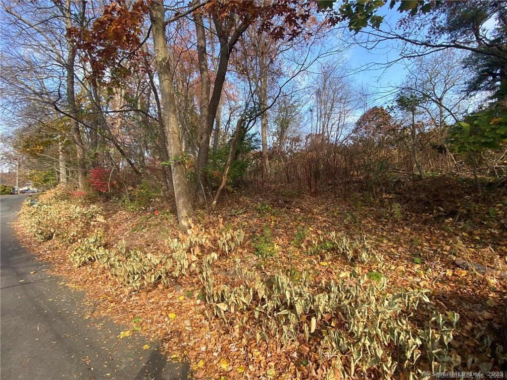 93-95 Eastview Road Property Photo 28