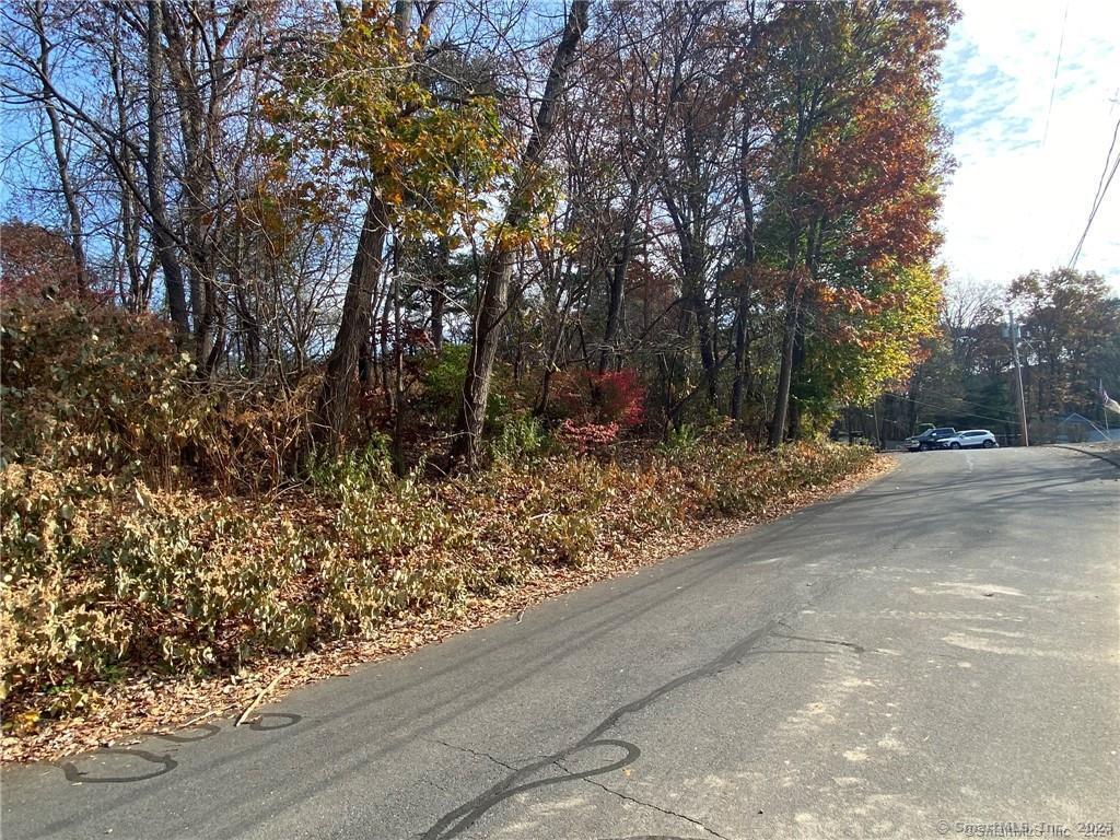 93-95 Eastview Road Property Photo 29