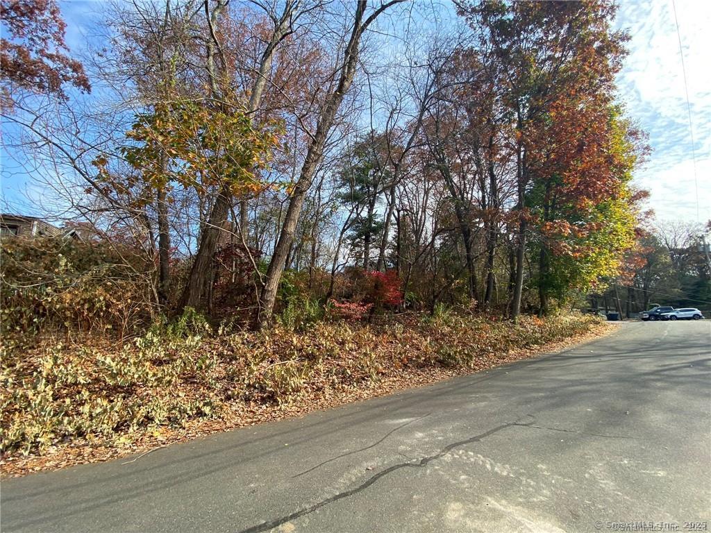93-95 Eastview Road Property Photo 33