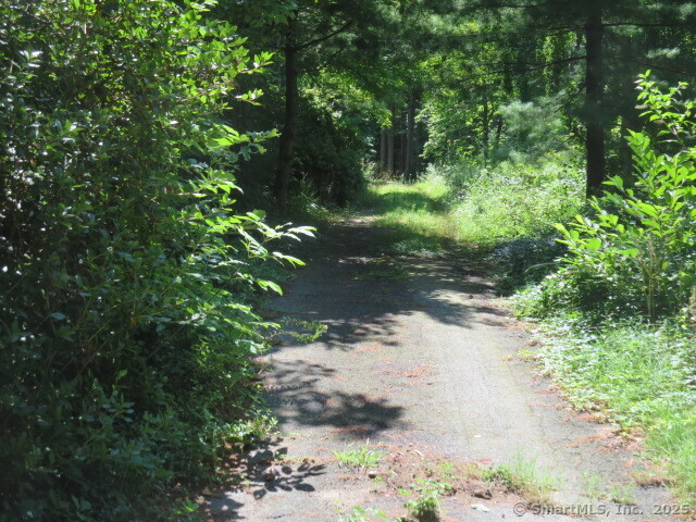 318 Bushy Hill Road Property Photo 1