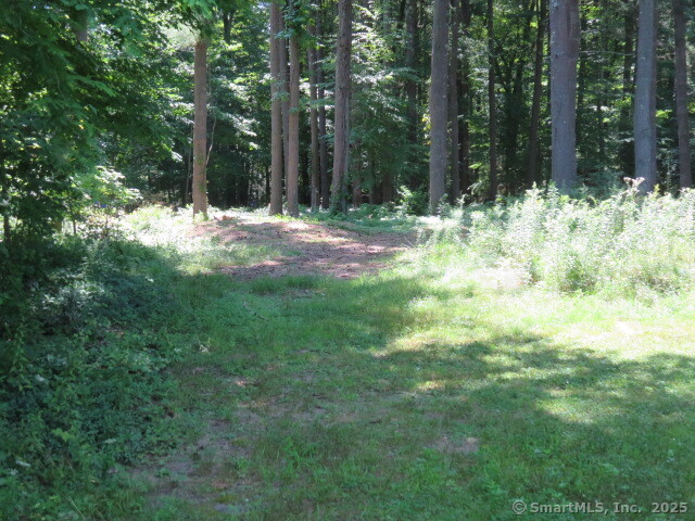 318 Bushy Hill Road Property Photo 3