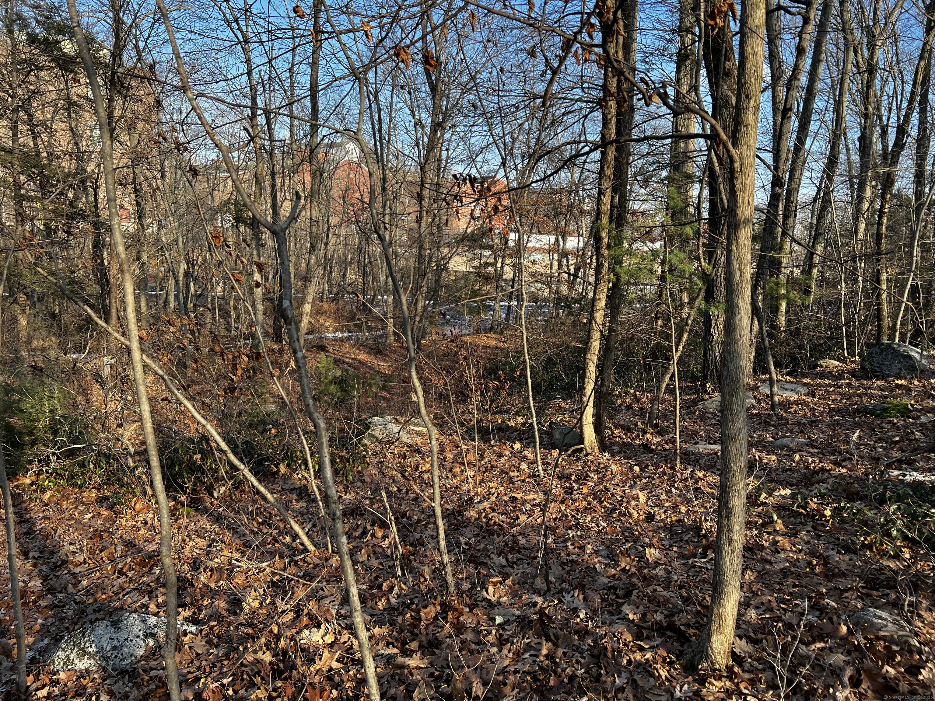 335 Pleasant Street Property Photo 4