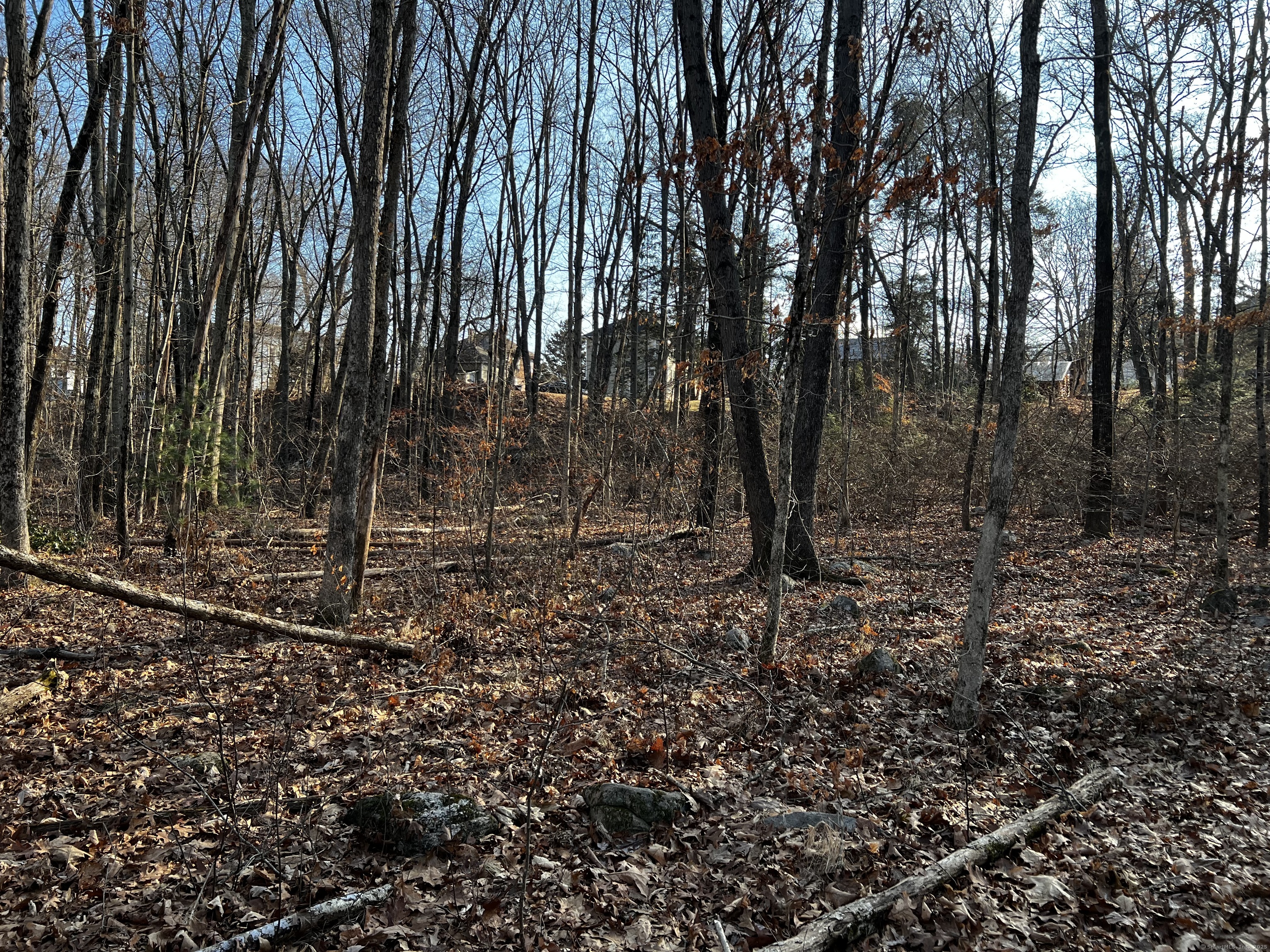 335 Pleasant Street Property Photo 5