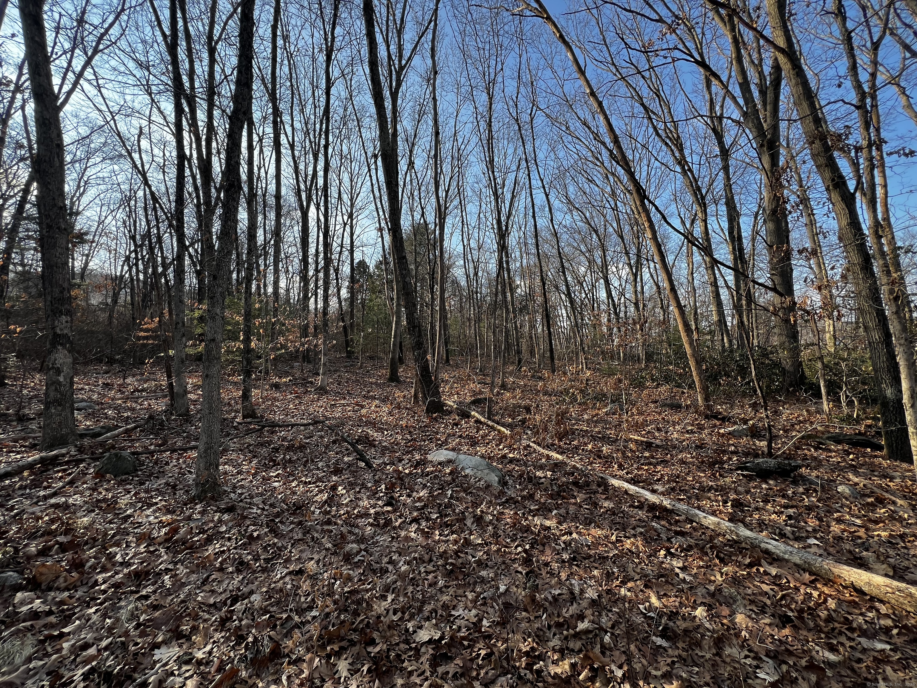 335 Pleasant Street Property Photo 6
