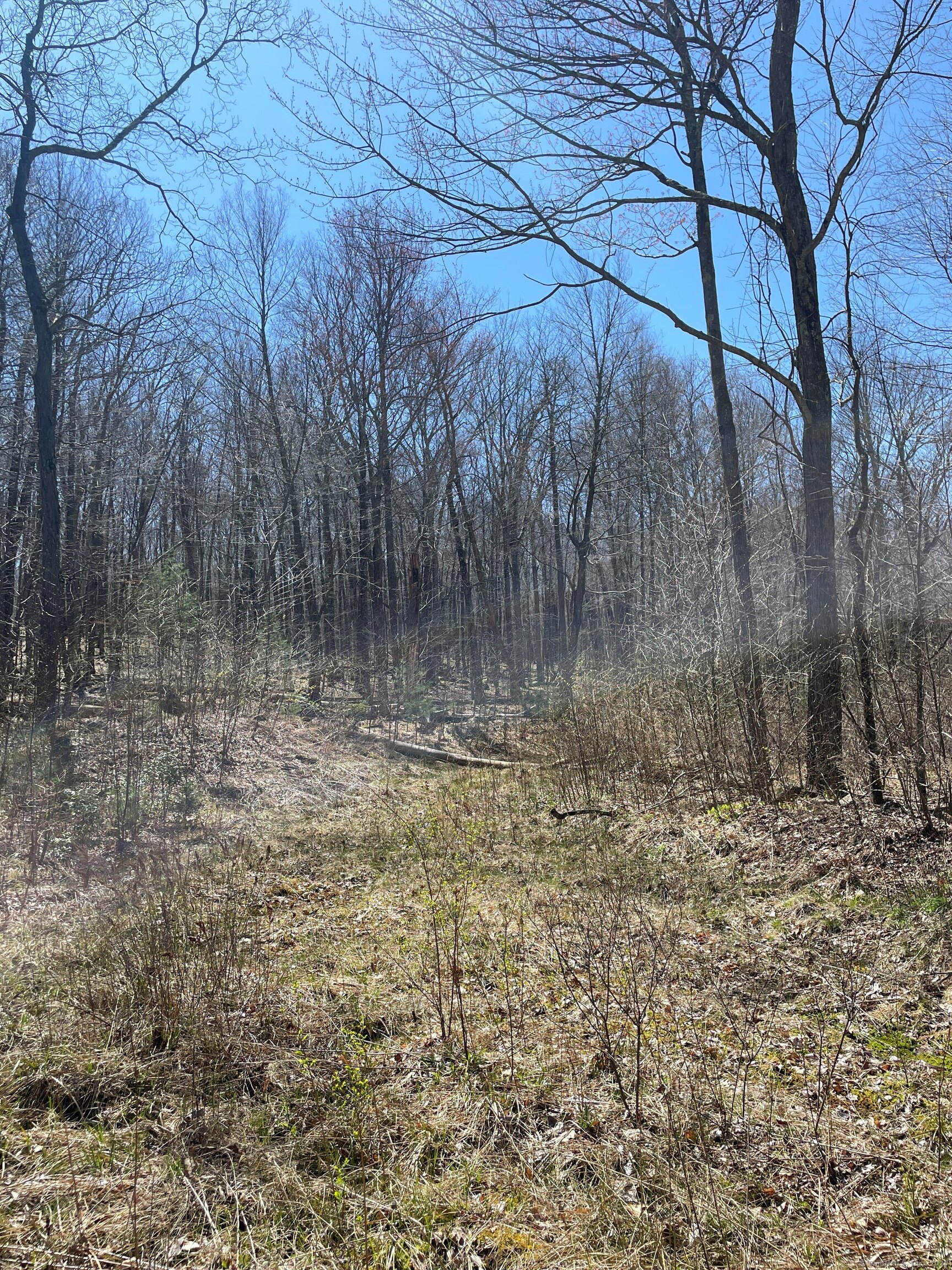 361d George Washington Turnpike Property Photo 2