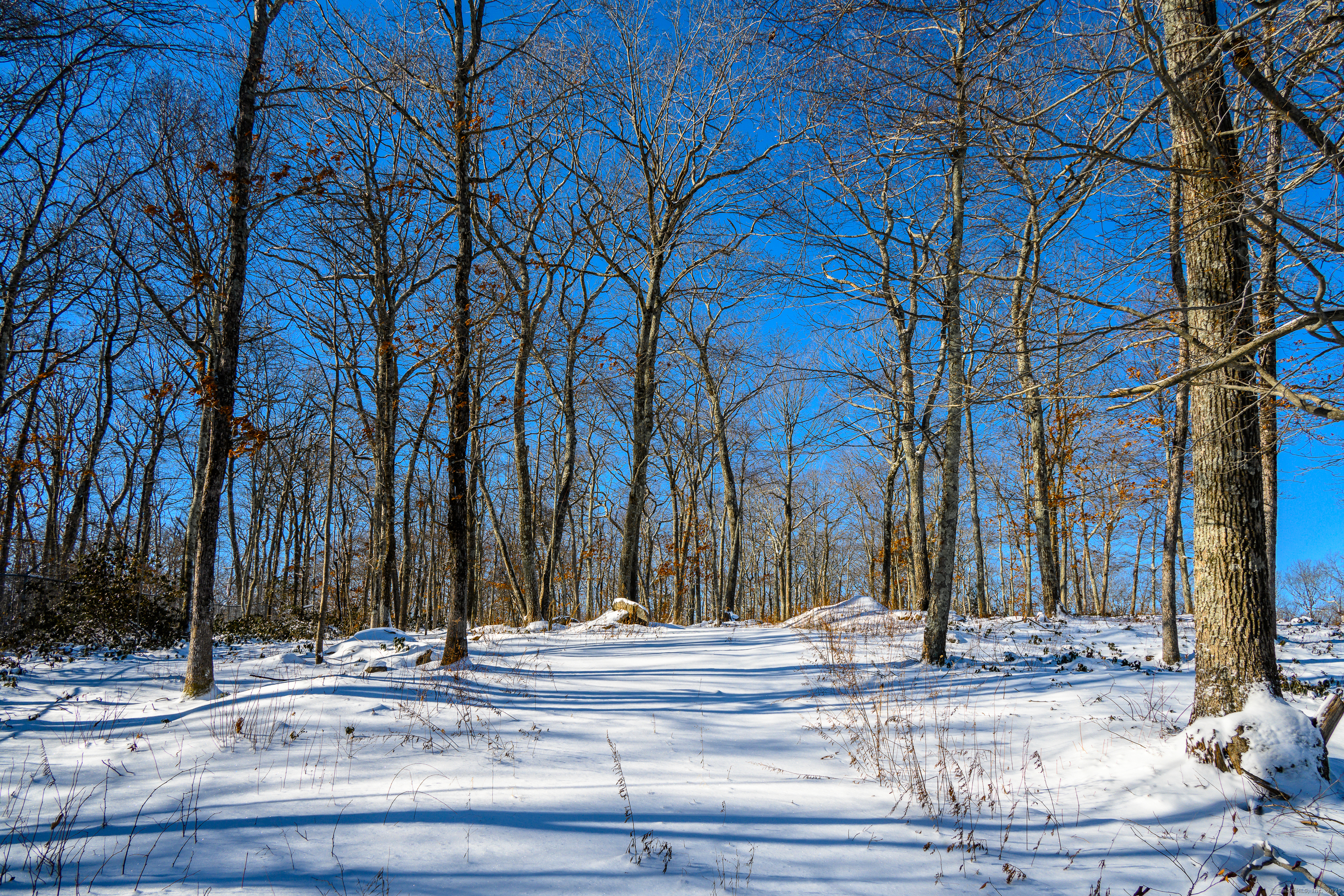Westwoods # 2 Road Property Photo 4