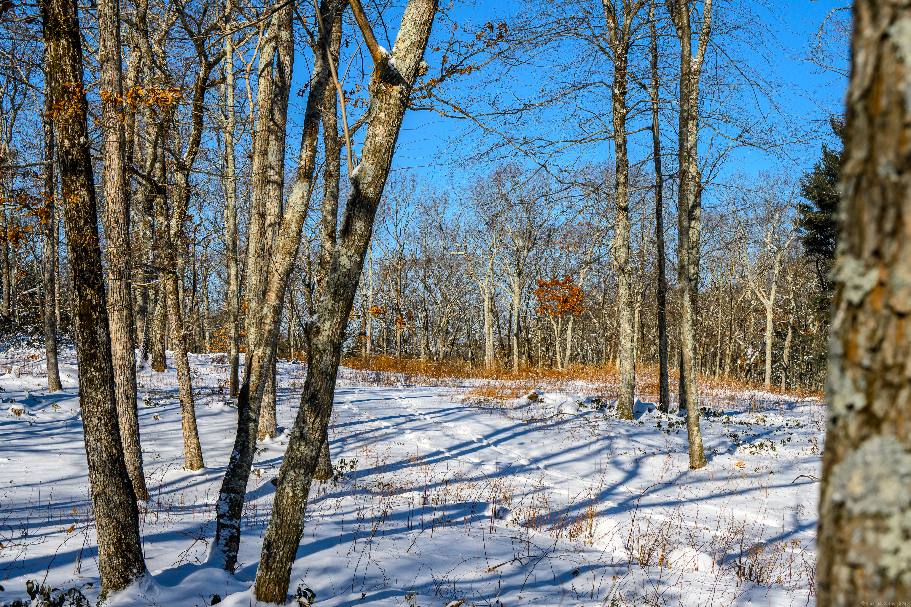 Westwoods # 2 Road Property Photo 8