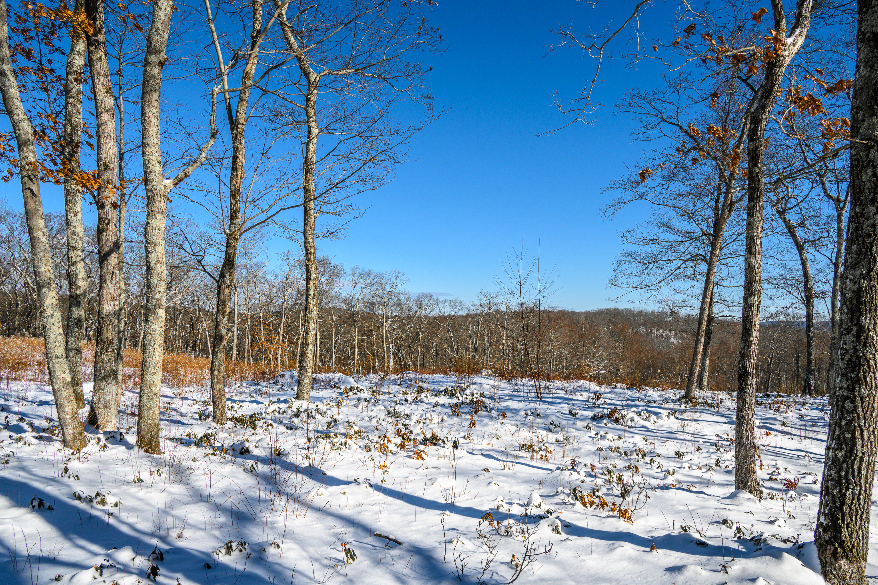 Westwoods # 2 Road Property Photo 9