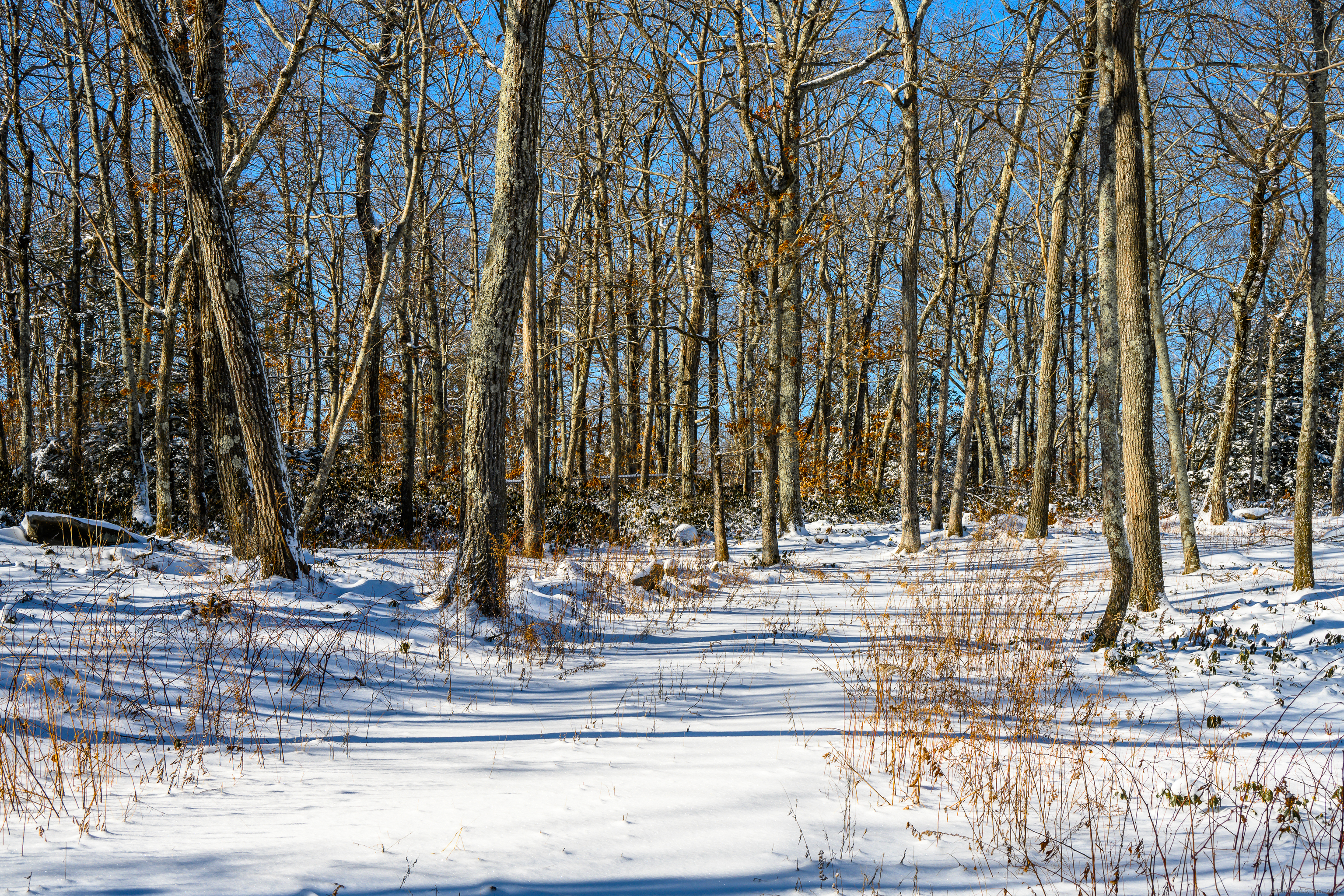 Westwoods # 2 Road Property Photo 11