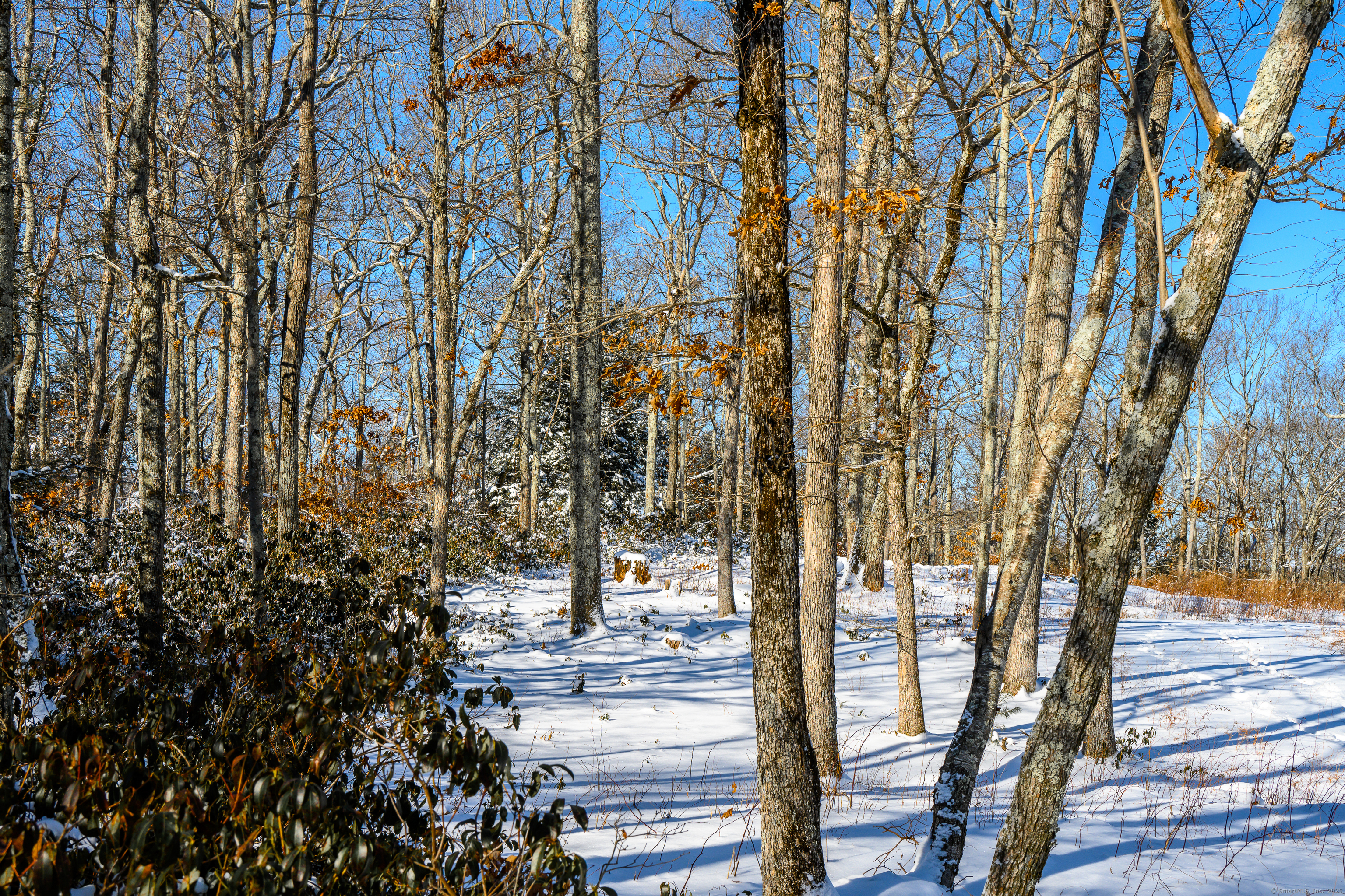 Westwoods # 2 Road Property Photo 12