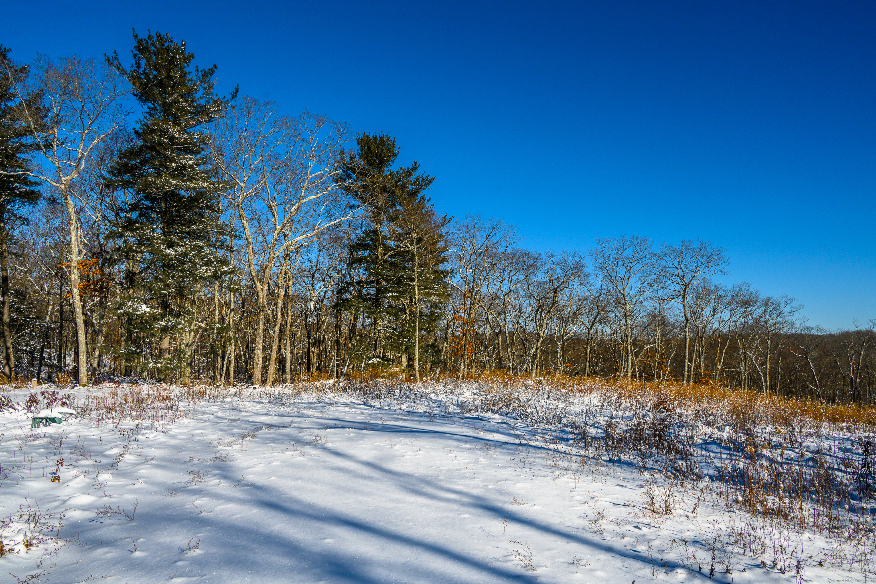 Westwoods # 2 Road Property Photo 13