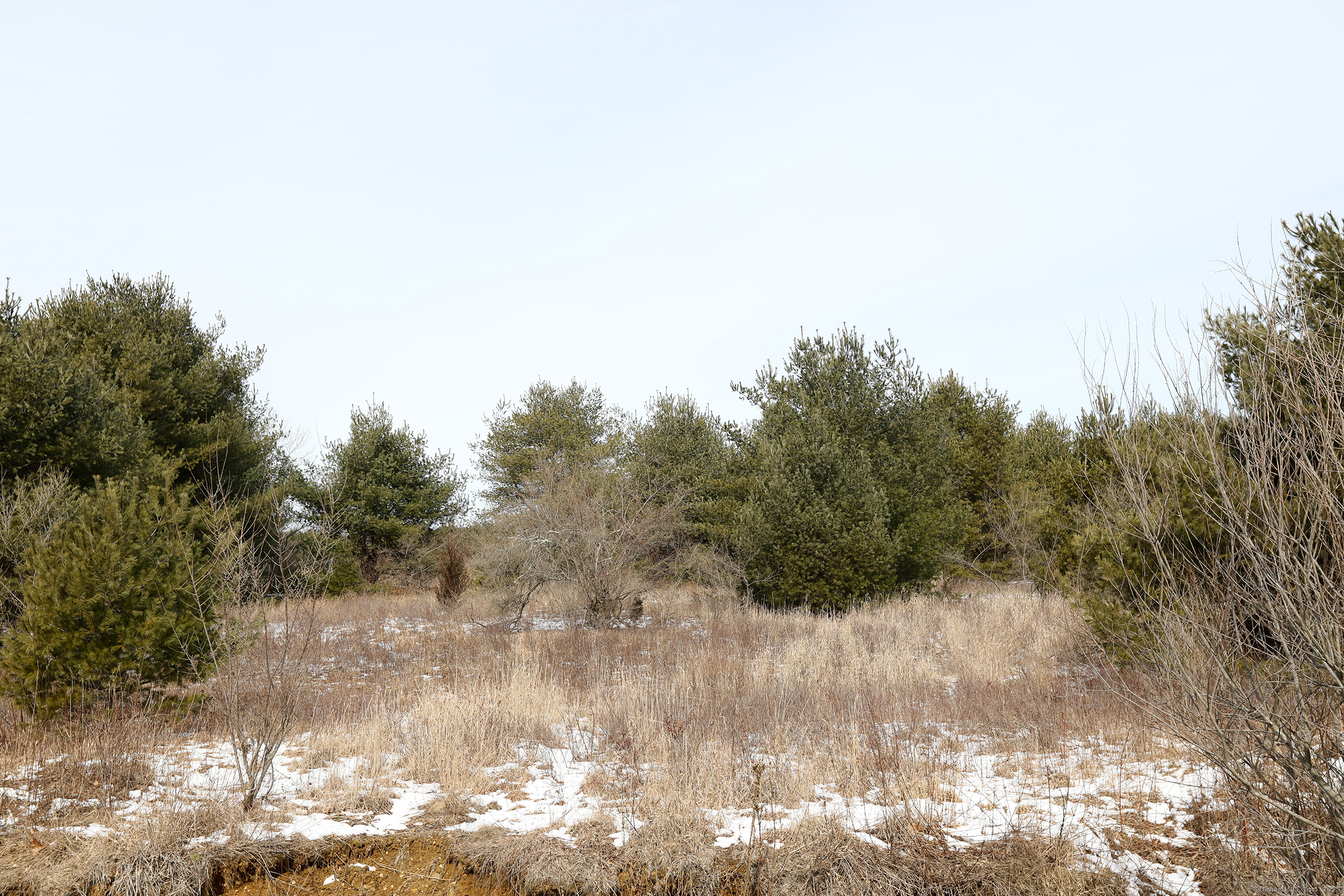 Turnpike Road Property Photo 4